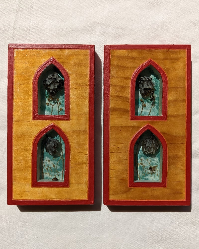 Moving in — wasp nests, spider, ladybeetle and wasps encased in resin, wood, acrylic